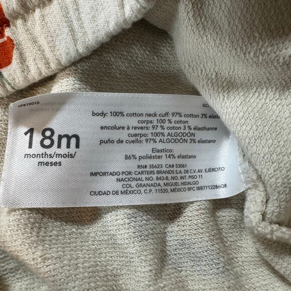 Carter’s 3-Piece 18M Girl Fall Outfit – Floral Sweatshirt, Bodysuit & Leggings - Picture 5 of 7